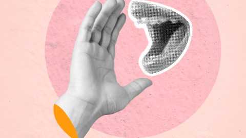 Blogbeitrag: Entstehen durch unsere Schulungen Anwender – oder Multiplikatoren?