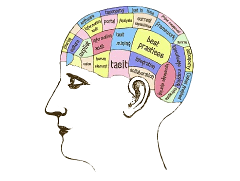 Mehrdimensionales Wissen Mehrdimensionales Wissen