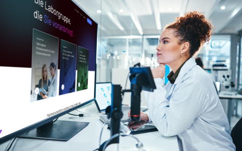 Corporate Website der Limbach Gruppe